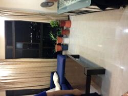 Ang Mo Kio Avenue 6 (Ang Mo Kio),  #391962411